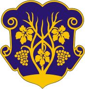 blason de Uzhhorod