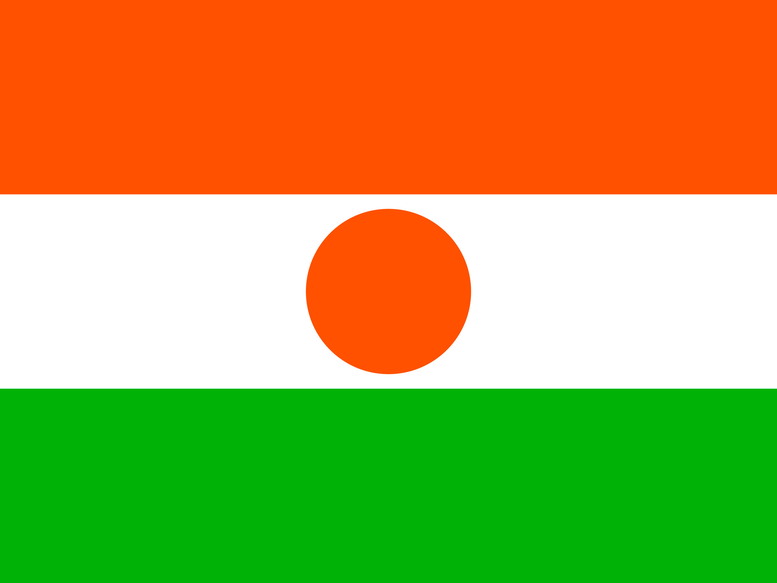 Drapeau de Niger