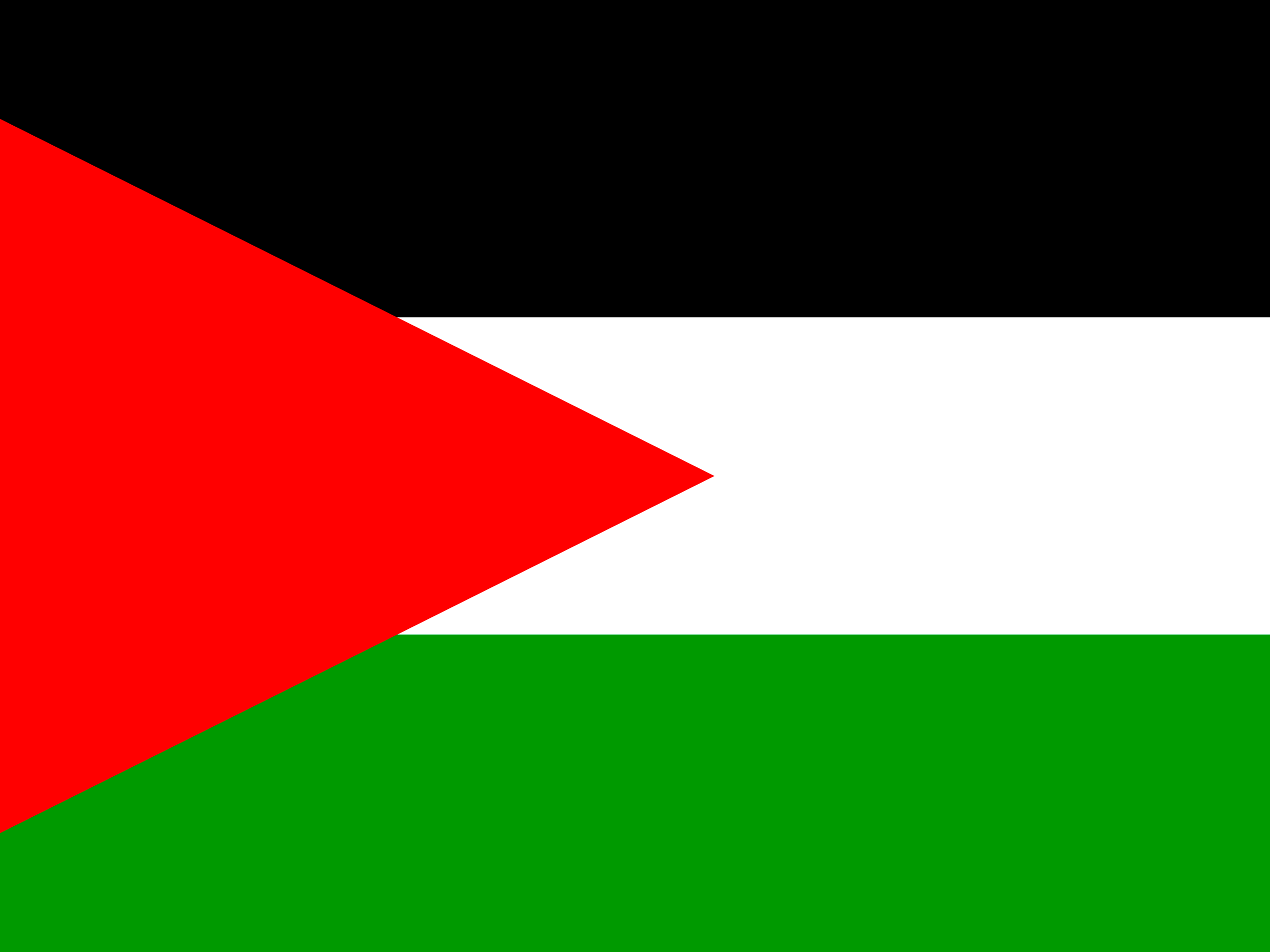 Drapeau de Palestine